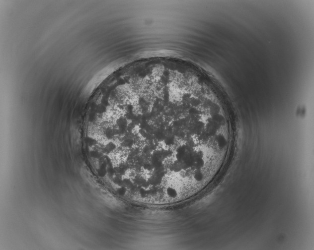 X0000111830921200908131543