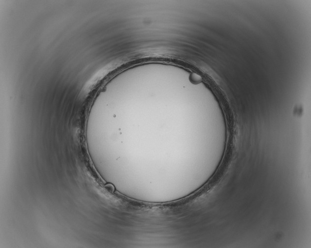 X0000111830922200908131543