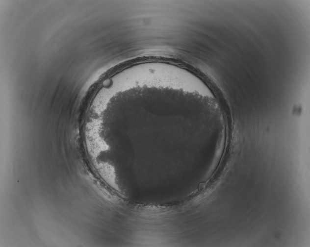 X0000111830923200908131543