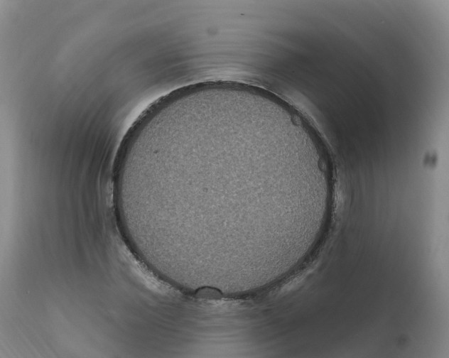 X0000111830924200908131543