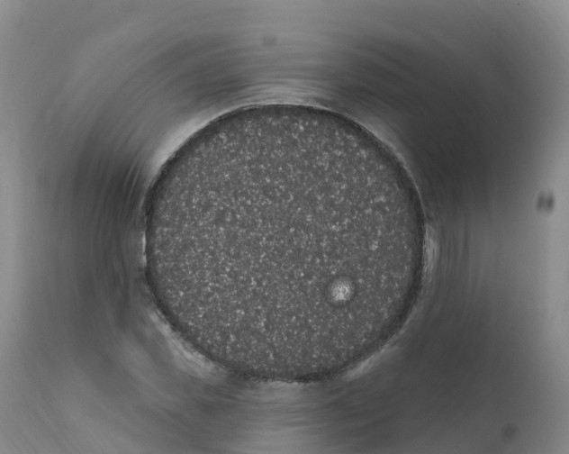 X0000111830925200908131543