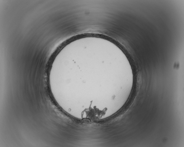 X0000111830926200908131543