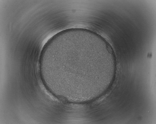 X0000111830928200908131543