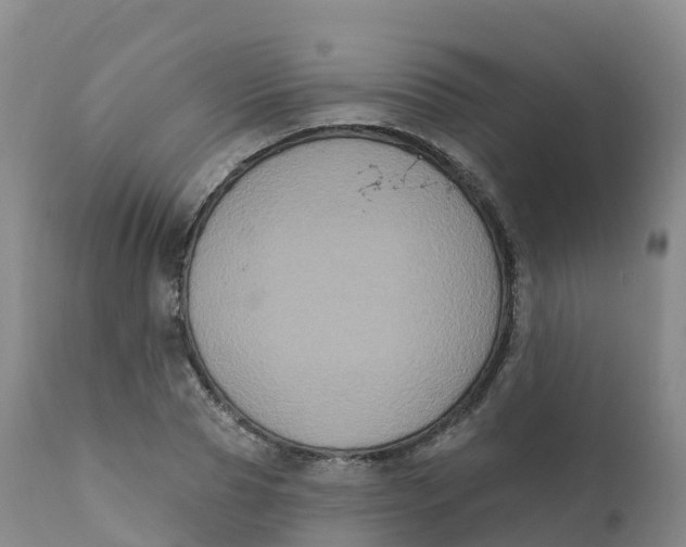 X0000111830929200908131543