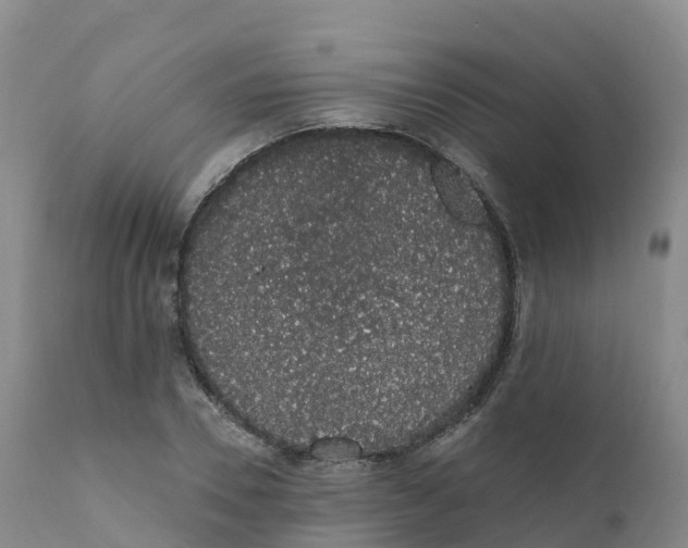 X0000111830930200908131543