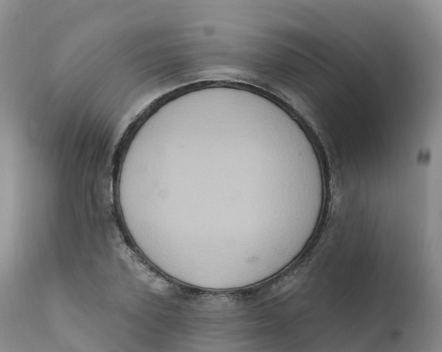 X0000111830931200908131543