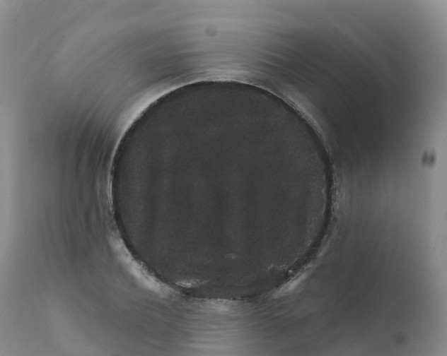 X0000111830932200908131543