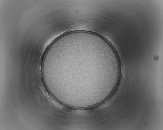 X0000111830933200908131543