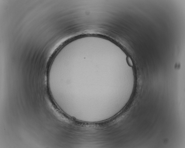 X0000111830934200908131543