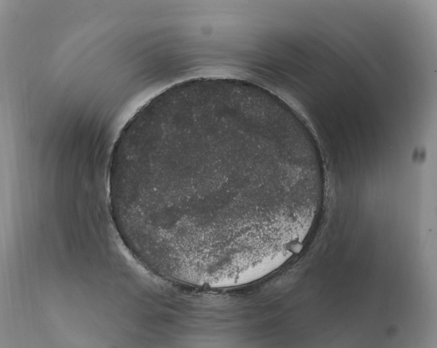 X0000111830935200908131543