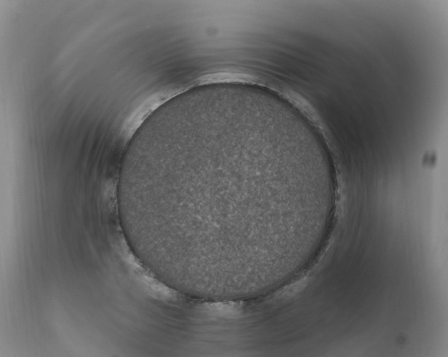 X0000111830937200908131543