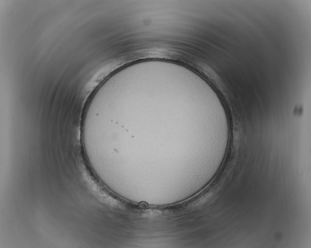 X0000111830938200908131543