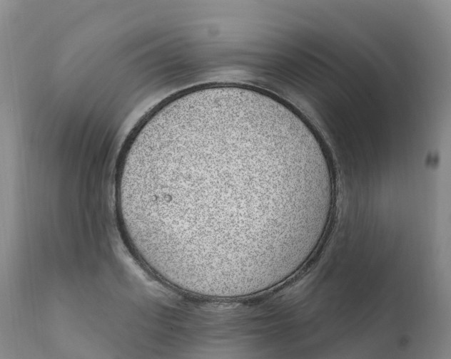 X0000111830939200908131543