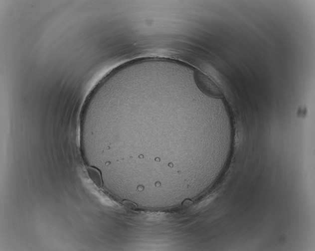 X0000111830940200908131543