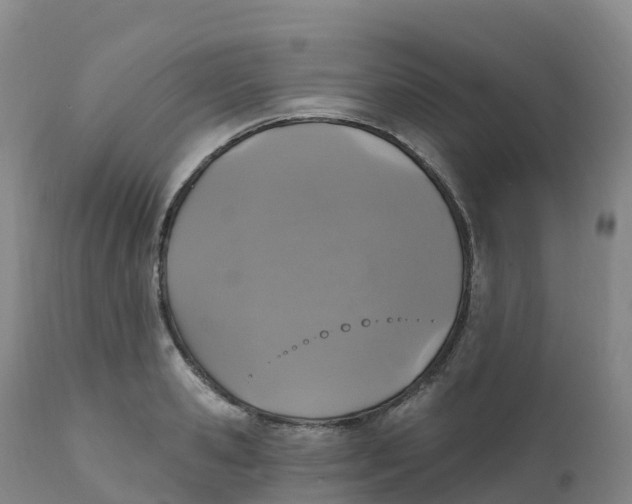 X0000111830941200908131543