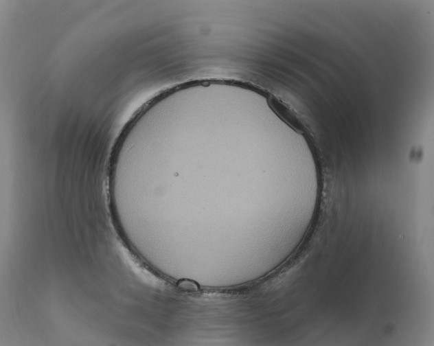 X0000111830942200908131543