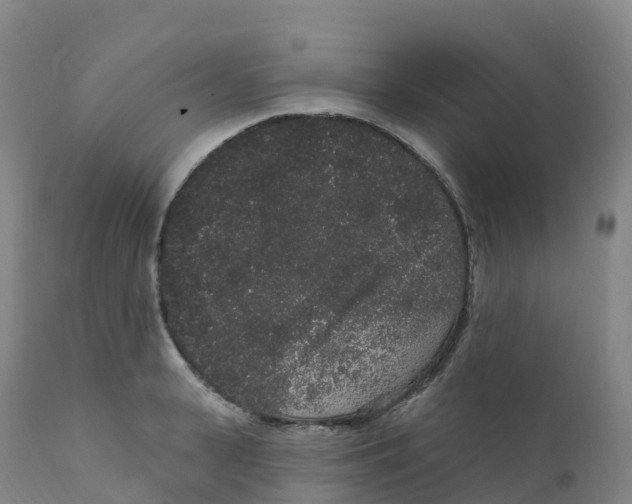 X0000111830943200908131543