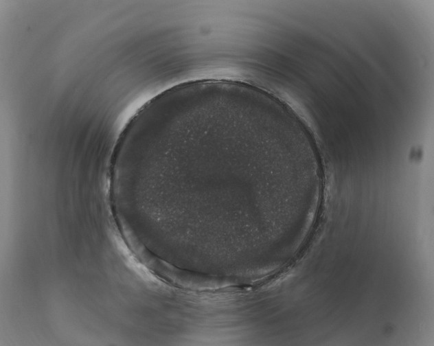 X0000111830944200908131543