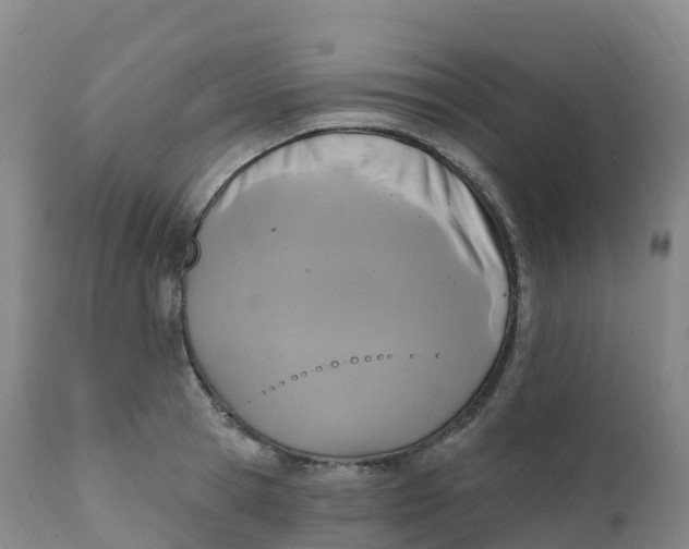 X0000111830945200908131543