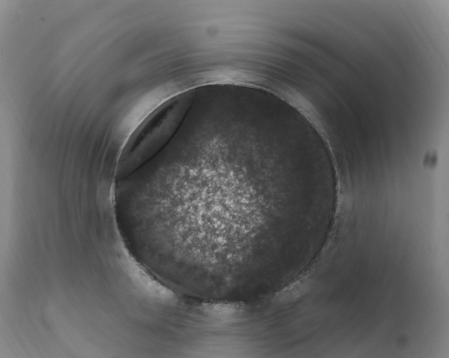 X0000111830946200908131543