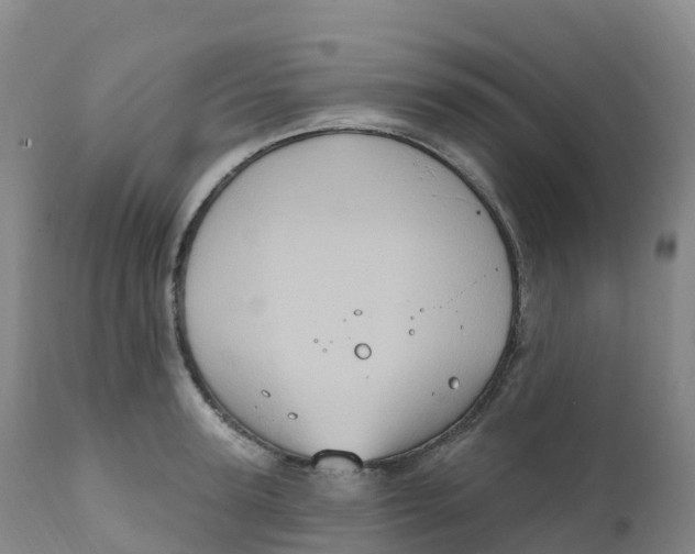 X0000111830947200908131543