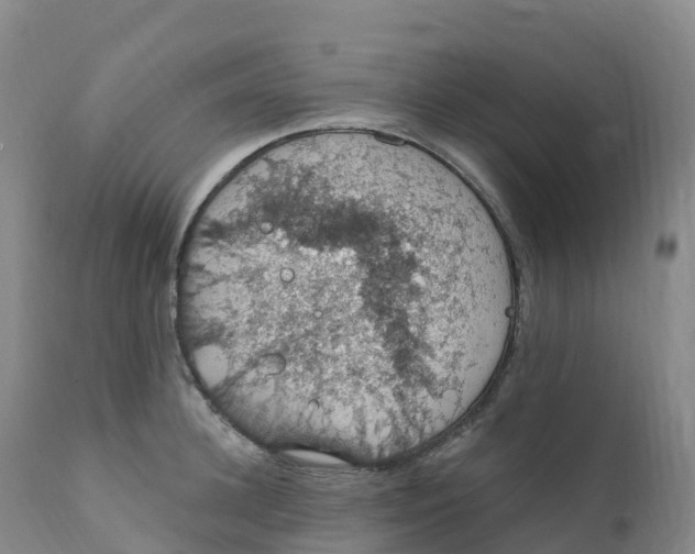 X0000111830948200908131543