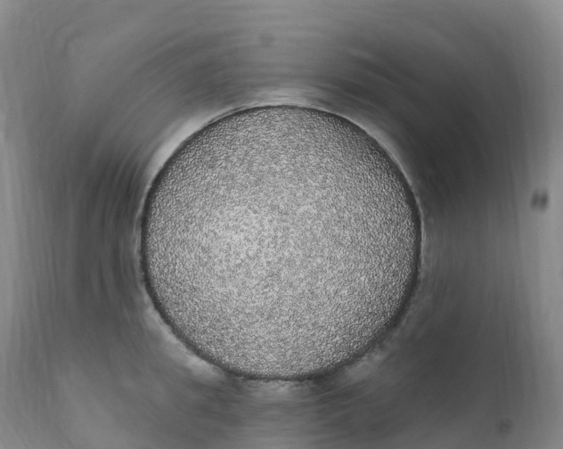 X0000111830949200908131543