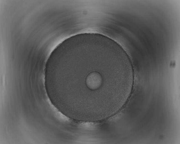 X0000111830950200908131543