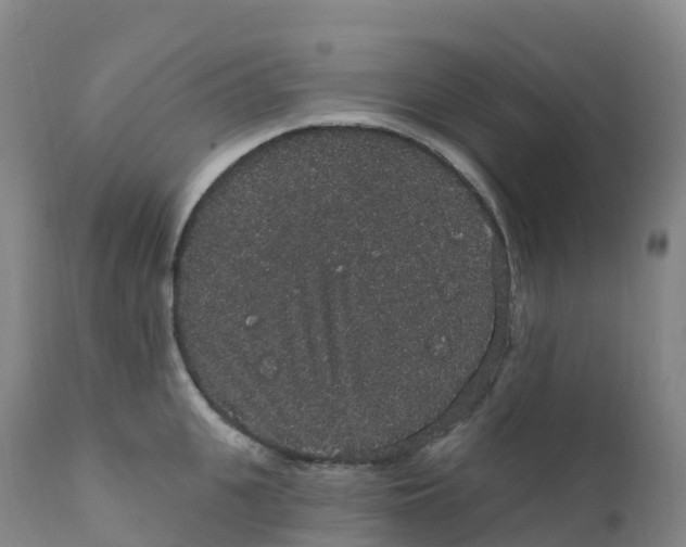 X0000111830951200908131543