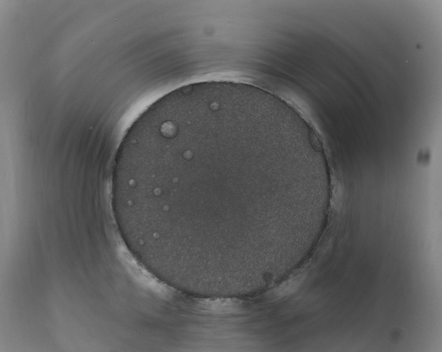 X0000111830952200908131543