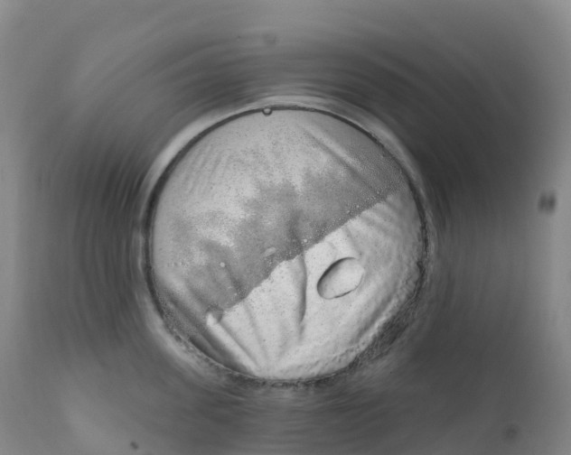 X0000111830955200908131543