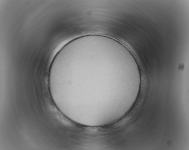 X0000111830956200908131543