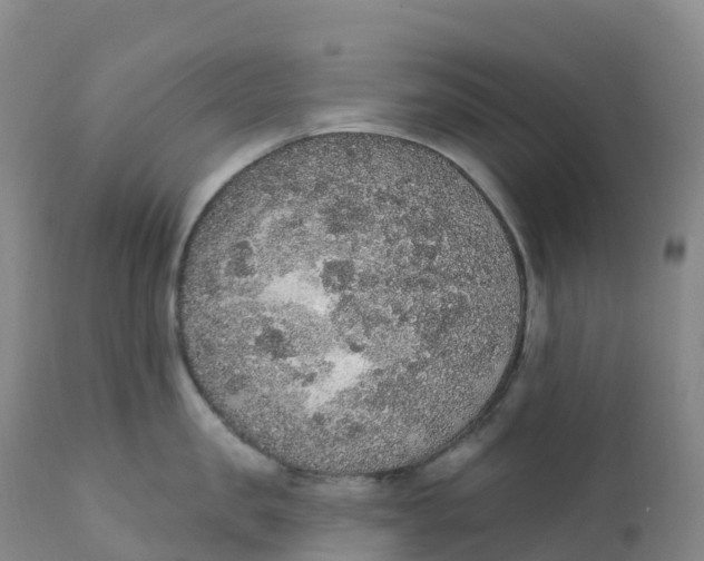 X0000111830957200908131543