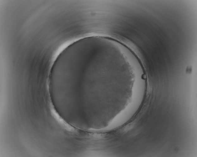 X0000111830958200908131543