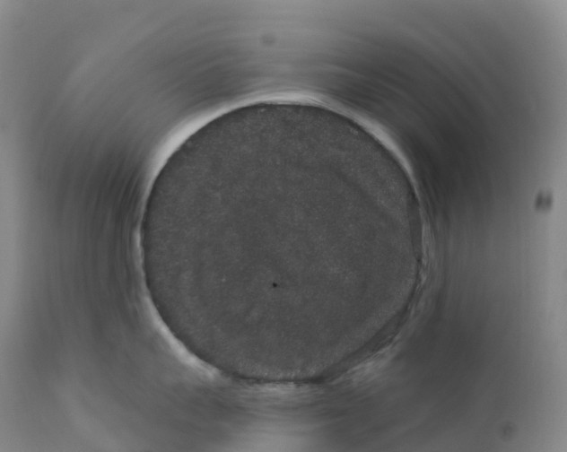 X0000111830959200908131543