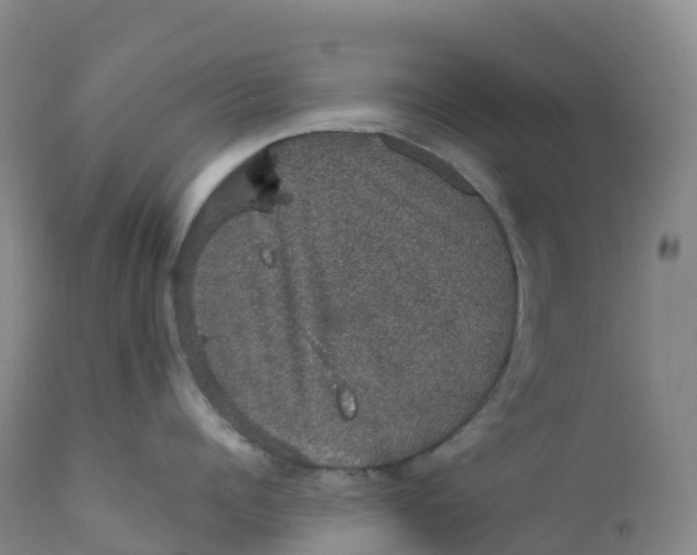 X0000111830960200908131543