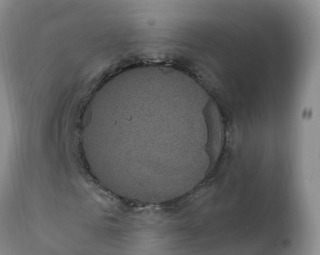 X0000111830961200908131543