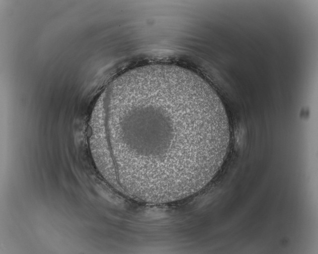 X0000111830964200908131543