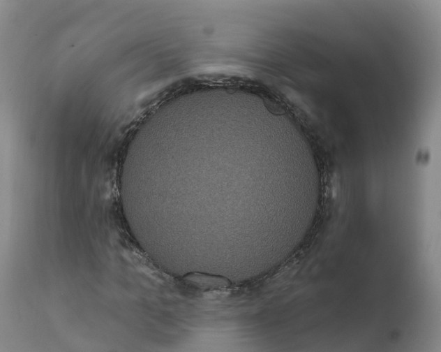 X0000111830965200908131543