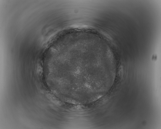 X0000111830966200908131543