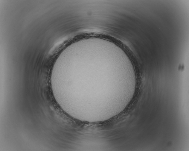 X0000111830967200908131543