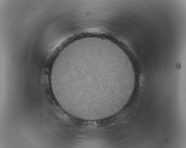 X0000111830968200908131543