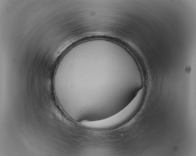 X0000111830969200908131542