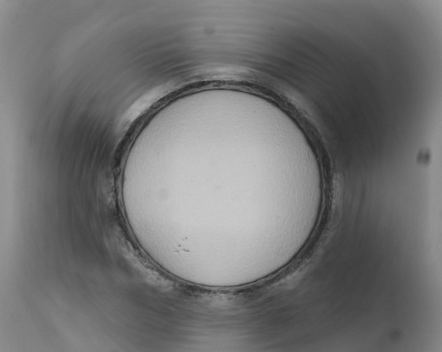 X0000111830970200908131542