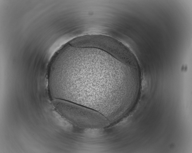 X0000111830973200908131542