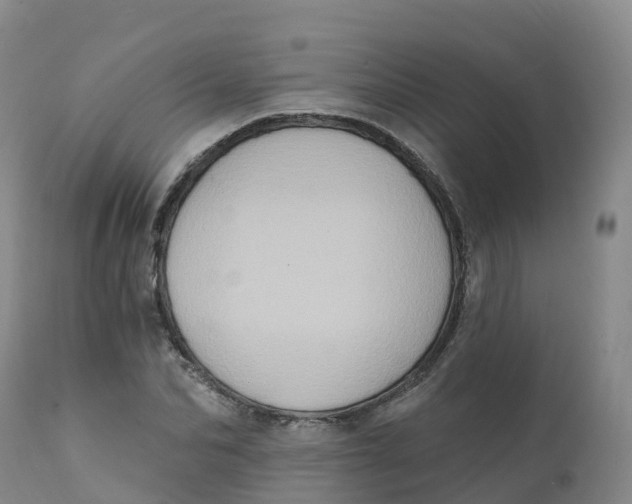 X0000111830974200908131542