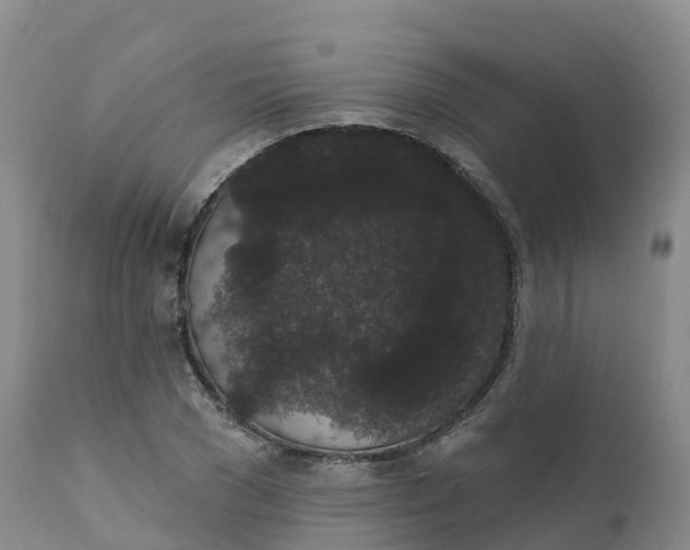 X0000111830977200908131542