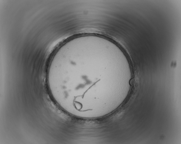 X0000111830979200908131542