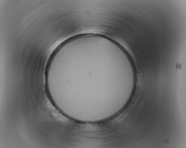 X0000111830980200908131542