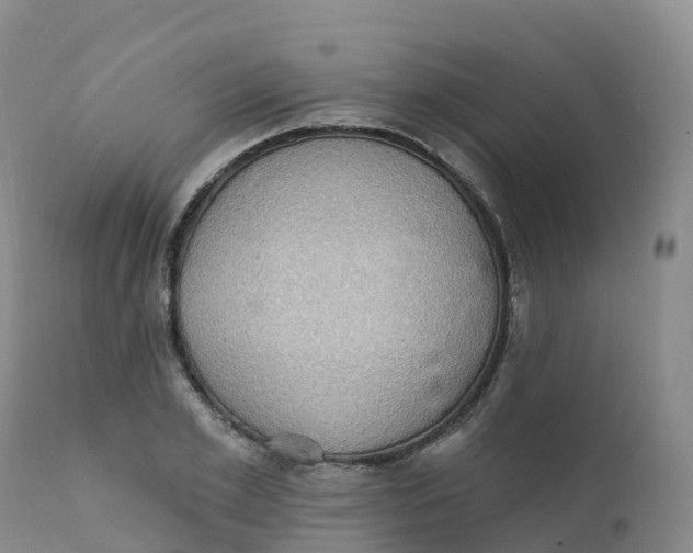 X0000111830981200908131542